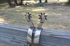 J.O.-Bass-spurs-01082013-5